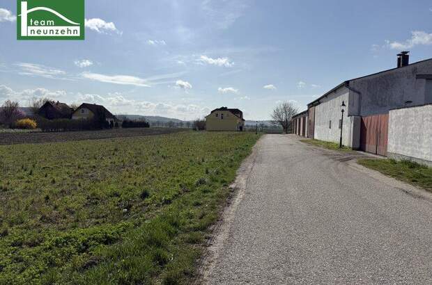 Mehrfamilienhaus kaufen in 2111 Tresdorf (Bild 4)
