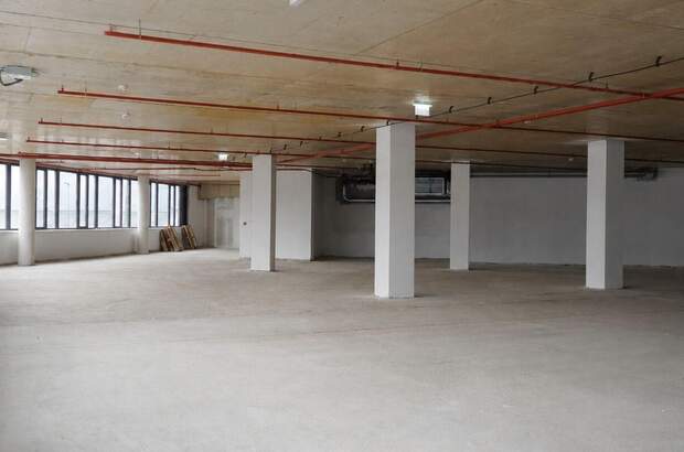 Gewerbeobjekt mieten in 1210 Wien (Bild 3)