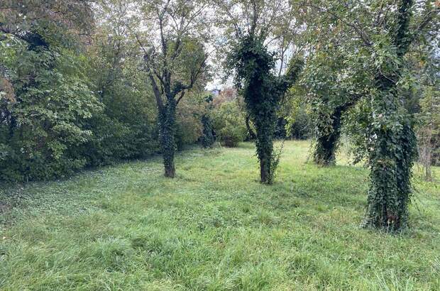 Grundstück kaufen in 1220 Wien