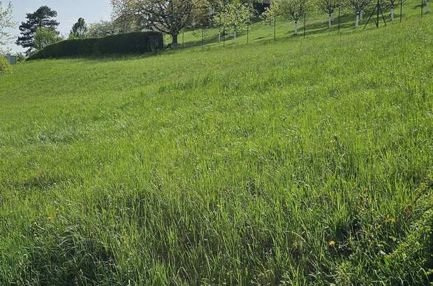 Grundstück kaufen in 8112 Gratwein (Bild 2)