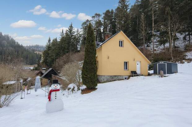 Haus mieten in 8692 Neuberg (Bild 4)