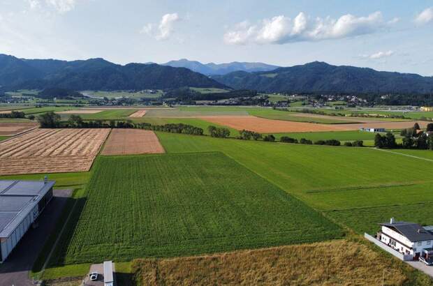 Gewerbeobjekt mieten in 8724 Spielberg (Bild 3)
