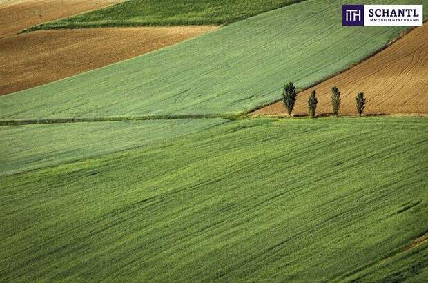 Grundstück kaufen in 8010 Graz (Bild 2)