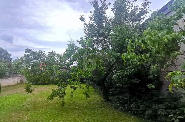 Einfamilienhaus kaufen in 7091 Breitenbrunn (Bild 5)