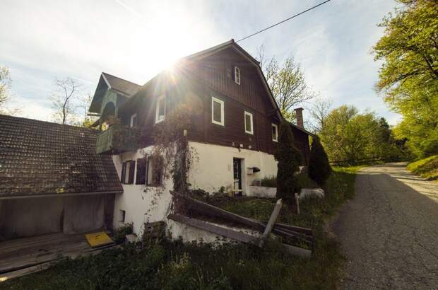 Gewerbeobjekt kaufen in 9554 St. Urban (Bild 4)