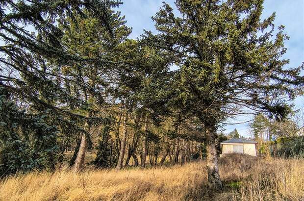 Grundstück kaufen in 1170 Wien (Bild 3)