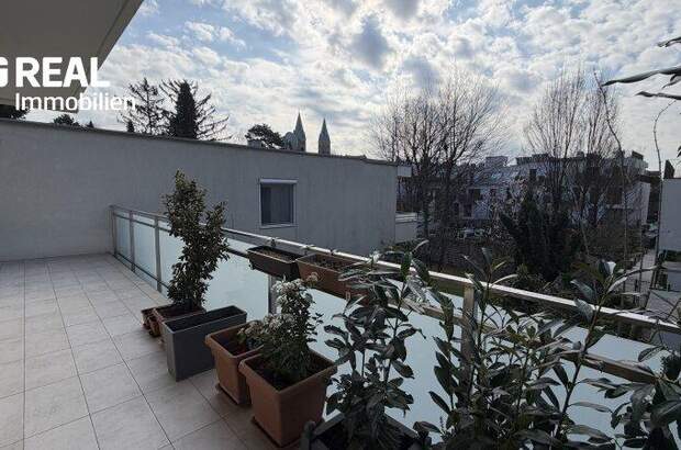 Terrassenwohnung kaufen in 1190 Wien (Bild 3)