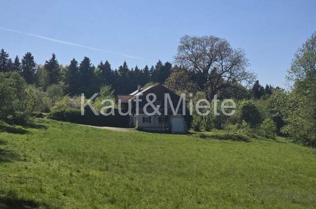 Einfamilienhaus kaufen in 8410 Wildon (Bild 1)