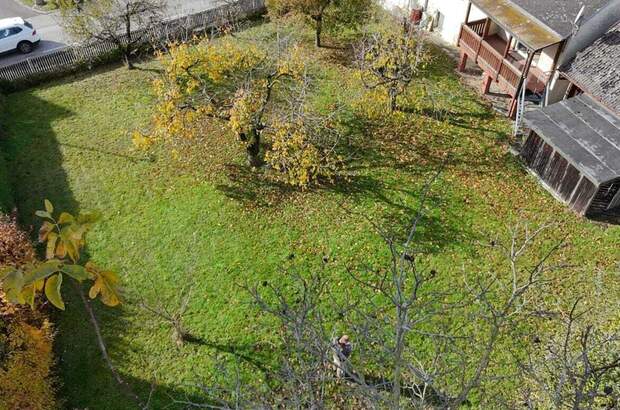 Haus kaufen in 4223 Katsdorf (Bild 3)