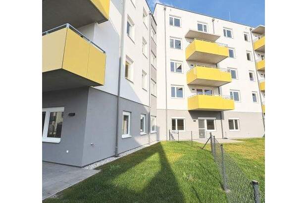 Terrassenwohnung mieten in 2700 Wr. Neustadt (Bild 5)