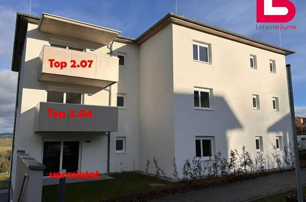 Mietwohnung in 4240 Waldburg