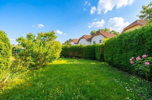 Mehrfamilienhaus kaufen in 2381 Laab (Bild 2)