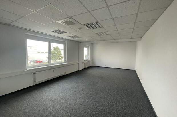 Gewerbeobjekt mieten in 1230 Wien (Bild 4)