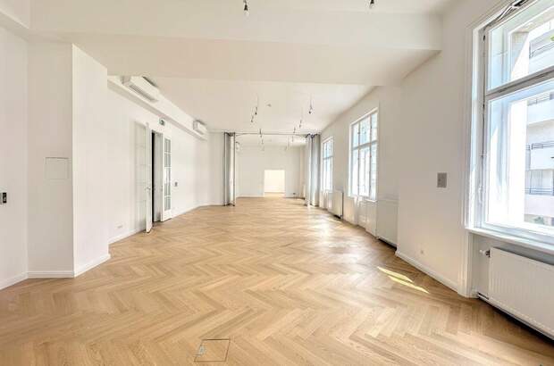 Gewerbeobjekt mieten in 1010 Wien (Bild 1)
