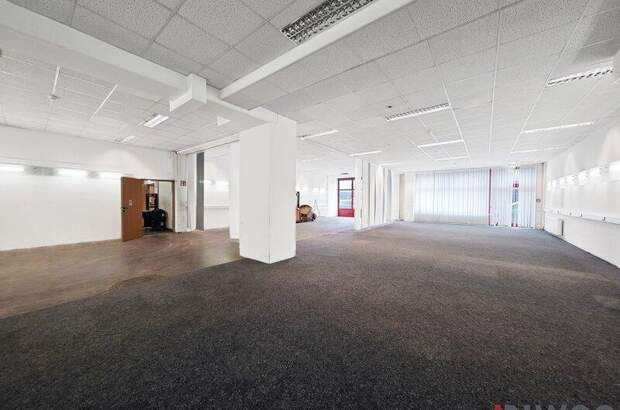 Einzelhandel mieten in 2351 Wr. Neudorf (Bild 3)