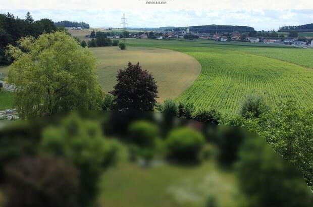 Grundstück kaufen in 5142 Eggelsberg (Bild 4)