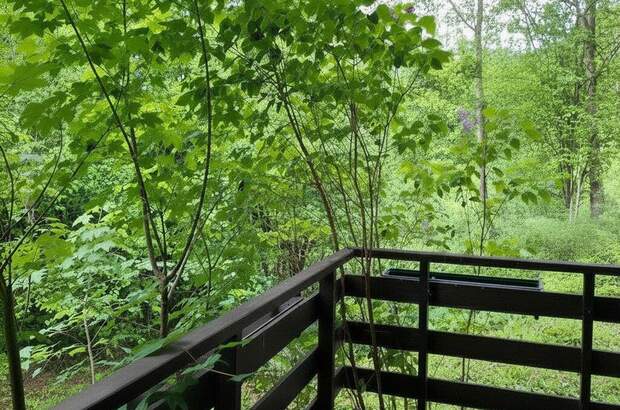 Haus kaufen in 8600 Bruck an der Mur (Bild 4)