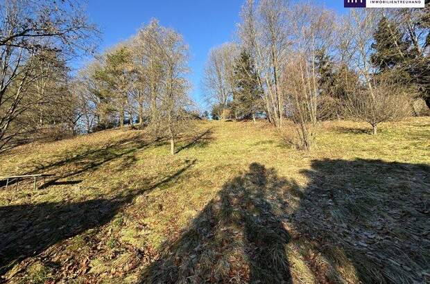 Grundstück kaufen in 8072 Fernitz (Bild 5)