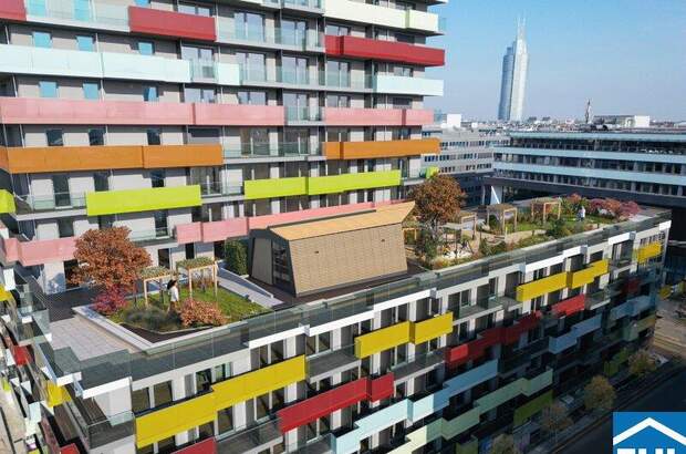 Terrassenwohnung mieten in 1200 Wien (Bild 5)