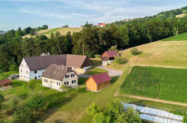 Haus mit Garten kaufen in 8444 Sausal (Bild 4)