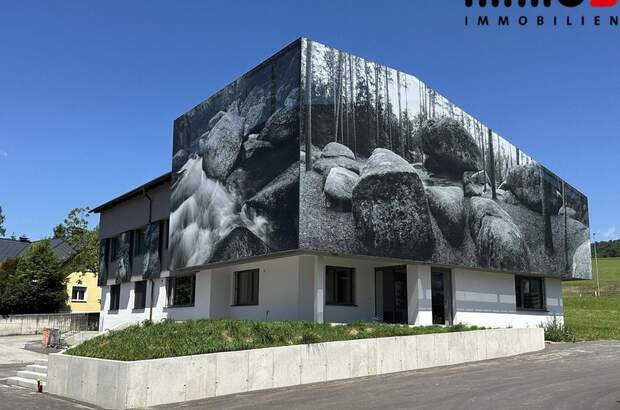 Gewerbeobjekt mieten in 4210 Gallneukirchen (Bild 3)