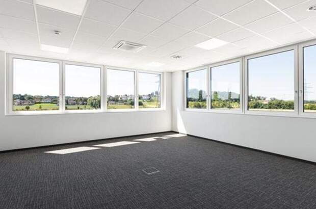 Gewerbeobjekt mieten in 4490 Sankt Florian (Bild 3)