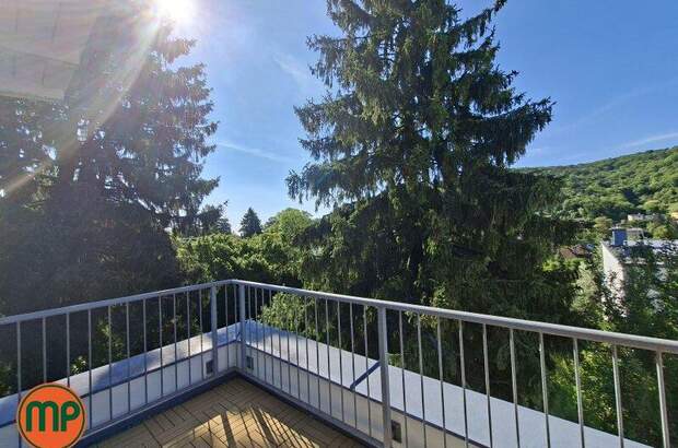Haus kaufen in 3400 Klosterneuburg (Bild 3)