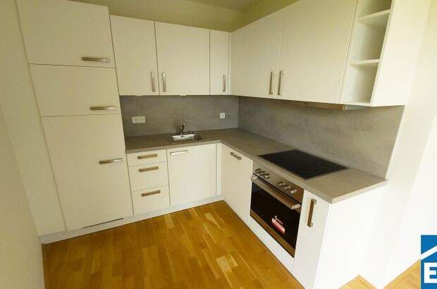 Terrassenwohnung mieten in 1100 Wien (Bild 1)