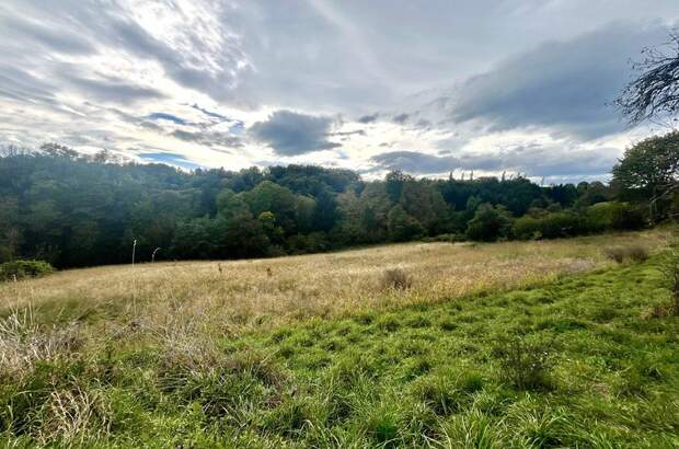 Grundstück kaufen in 8430 Leibnitz (Bild 3)