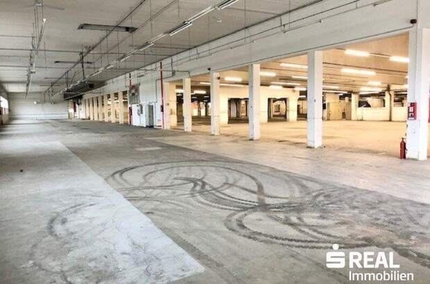 Lager mieten in 4614 Marchtrenk (Bild 5)