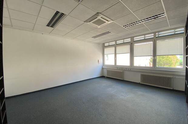 Gewerbeobjekt mieten in 1130 Wien (Bild 5)