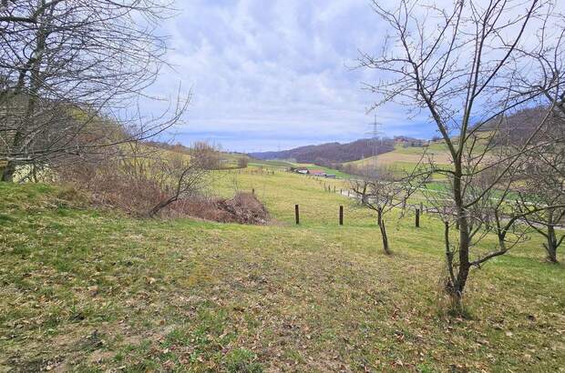 Haus kaufen in 8472 Spielfeld (Bild 4)