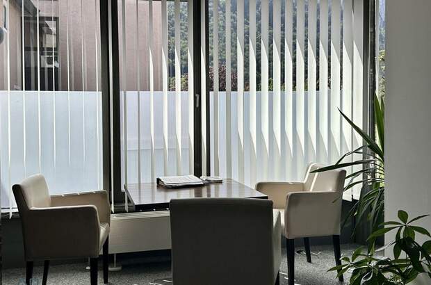 Gewerbeobjekt mieten in 5400 Hallein (Bild 2)