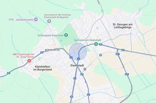 Gewerbeobjekt mieten in 7000 Eisenstadt (Bild 3)