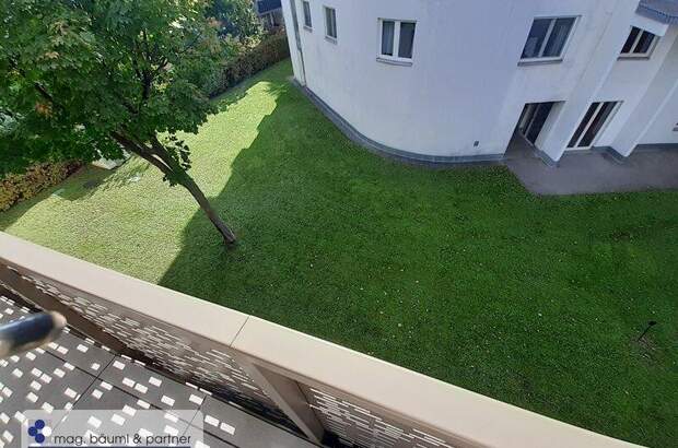 Terrassenwohnung mieten in 1230 Wien (Bild 3)