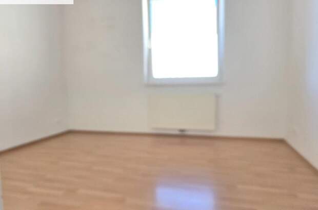 Wohnung mieten in 2320 Schwechat (Bild 3)