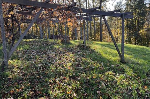 Grundstück kaufen in 8282 Bad Loipersdorf (Bild 4)