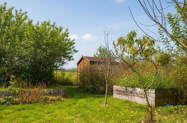 Haus mit Garten kaufen in 4062 Thürnau (Bild 4)