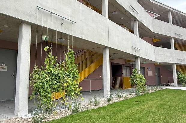 Terrassenwohnung mieten in 2700 Wr. Neustadt (Bild 4)