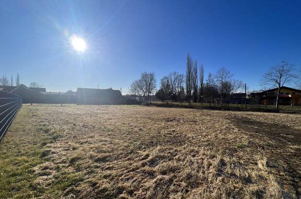 Grundstück kaufen in 8413 Ragnitz (Bild 5)