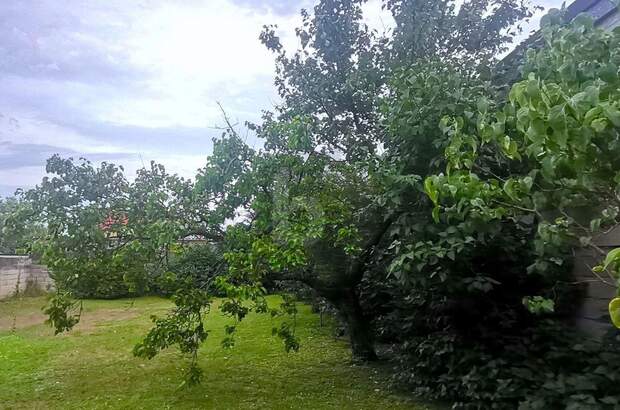 Haus kaufen in 7091 Breitenbrunn (Bild 5)