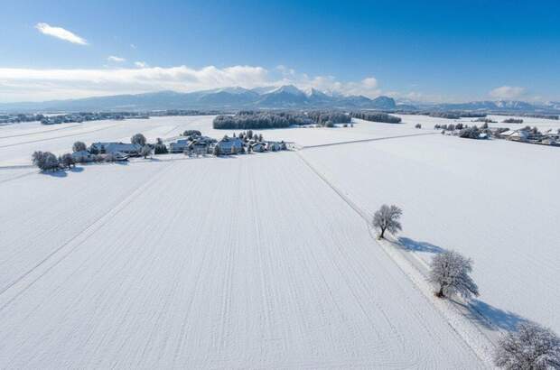 Gewerbeobjekt kaufen in 4654 Bad Wimsbach (Bild 1)