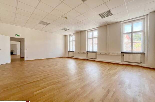 Gewerbeobjekt mieten in 2340 Mödling (Bild 2)