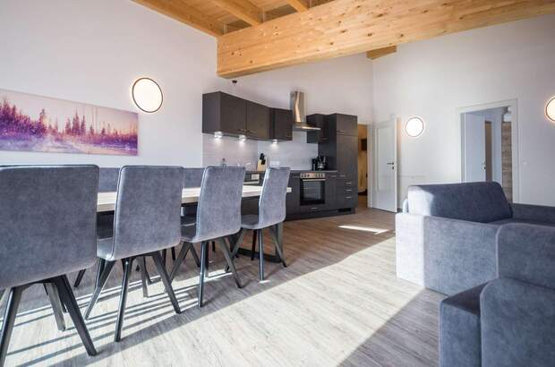 Terrassenwohnung kaufen in 6391 Fieberbrunn (Bild 3)