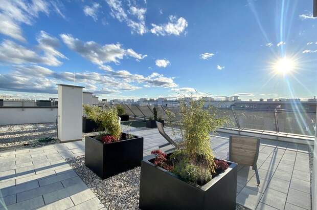 Mietwohnung in 2320 Schwechat (Bild 4)