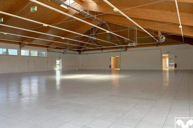 Gewerbeobjekt mieten in 4631 Krenglbach (Bild 2)