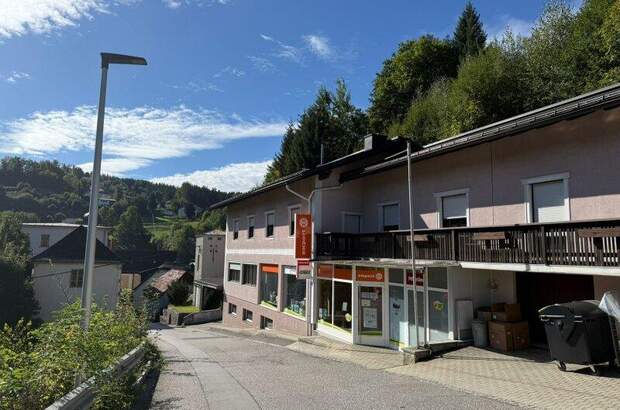 Wohnanlage kaufen in 4184 Helfenberg (Bild 1)