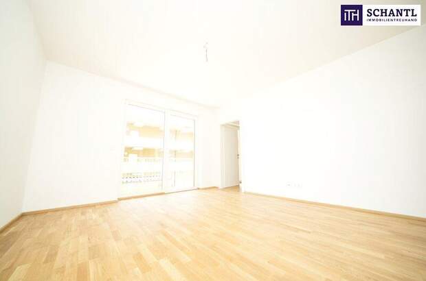 Terrassenwohnung kaufen in 8401 Kalsdorf (Bild 1)