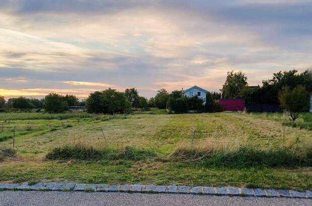 Grundstück kaufen in 7141 Podersdorf (Bild 2)