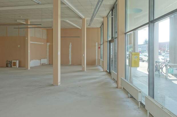 Gewerbeobjekt mieten in 1230 Wien (Bild 5)